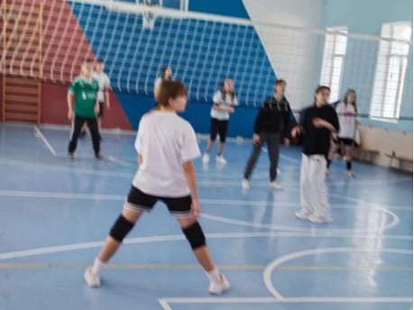 Соревнования по волейболу Соревнования по волейболу.